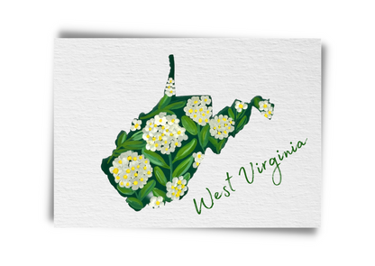 West Virginia State Flowers Postcard