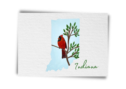 Indiana State Birds Postcard