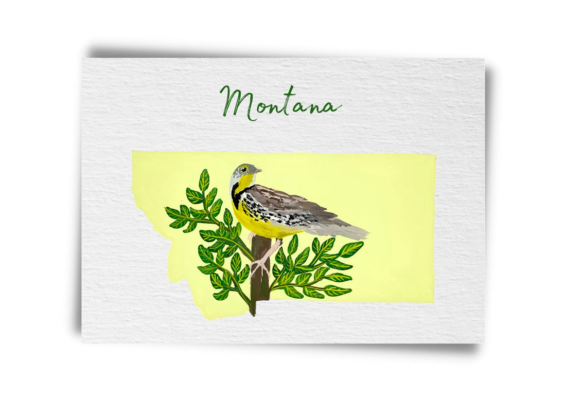 Montana State Birds Postcard