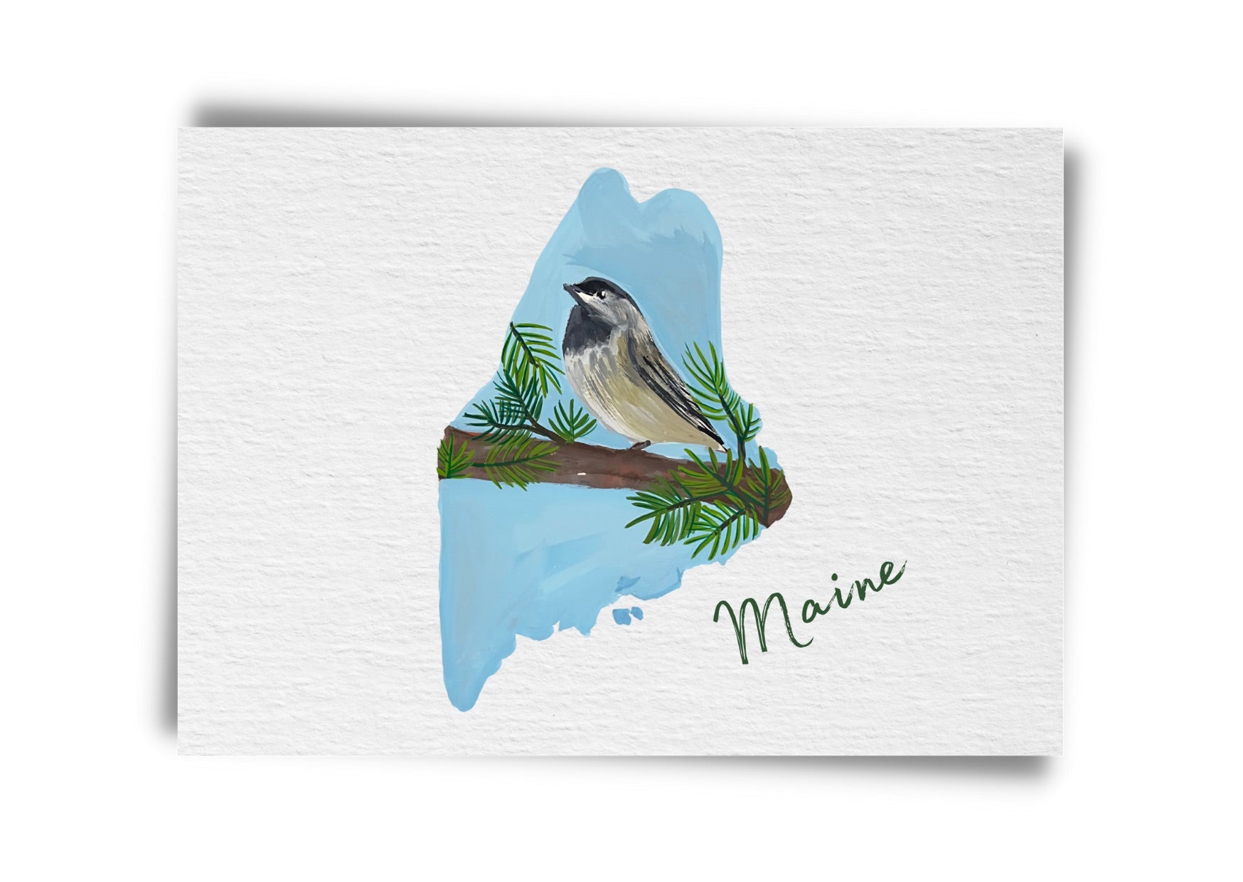 Maine State Birds Postcard