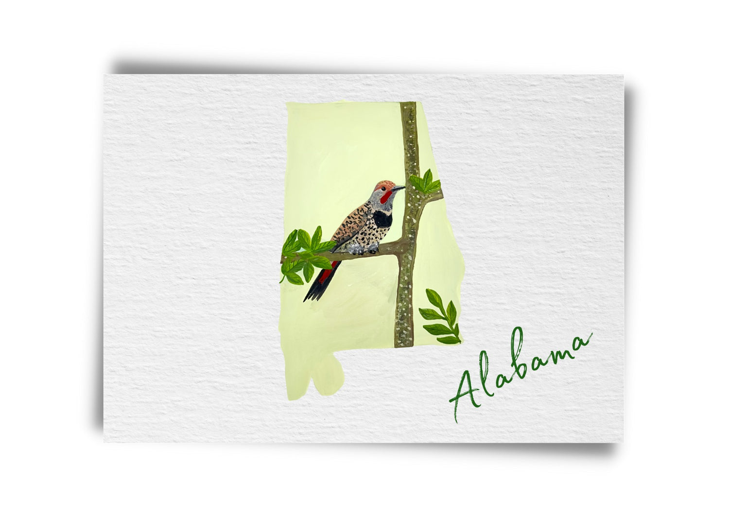 Alabama State Birds Postcard
