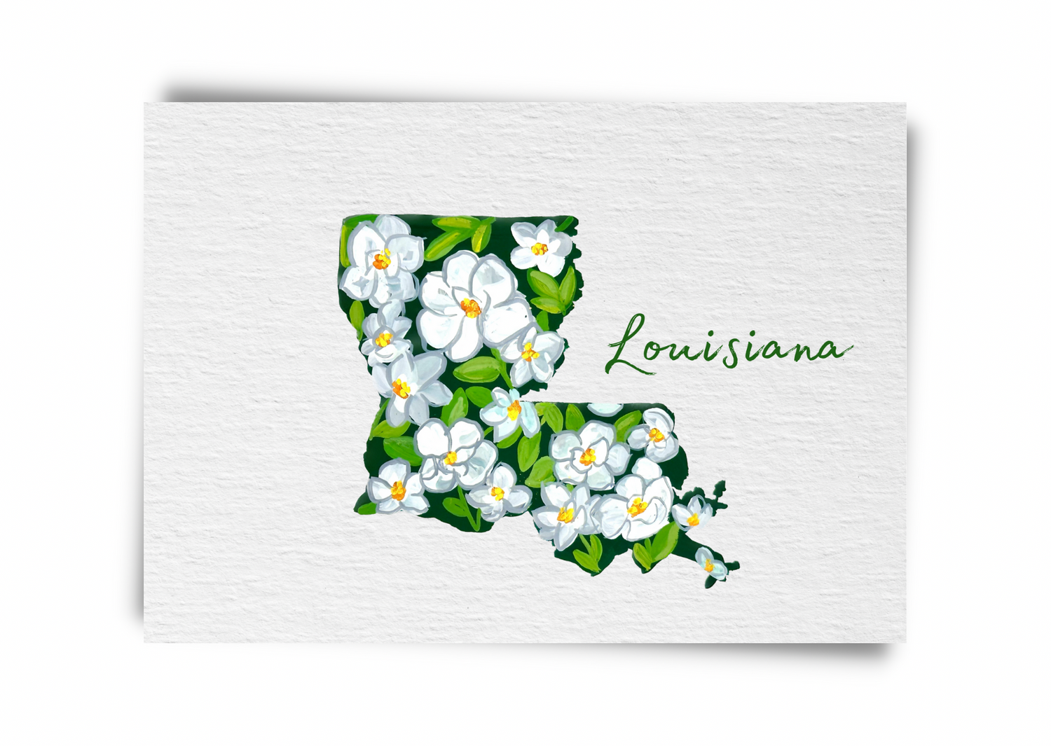 Louisiana State Flowers Postcard